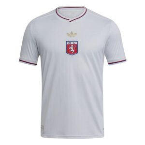 Maillot Olympique Lyonnais Edition Anniversaire 75ans