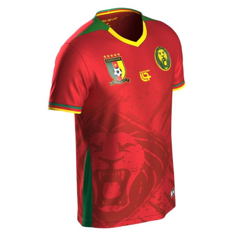 Maillot Cameroun Extérieur 2025 2026 - Image 2